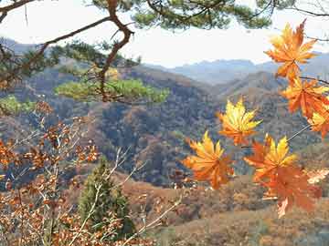 高考高频考点